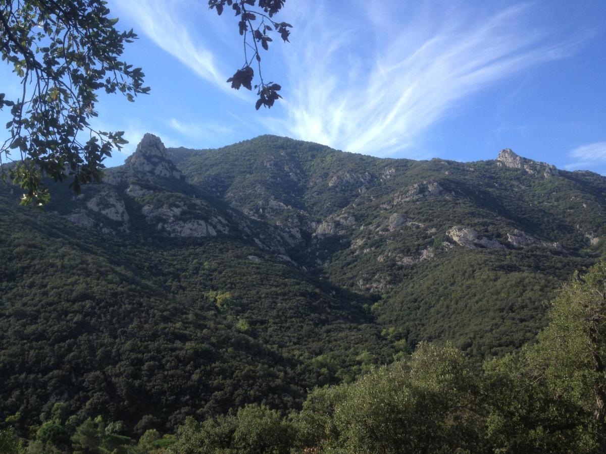L'Abri La Vall Sorède 외부 사진