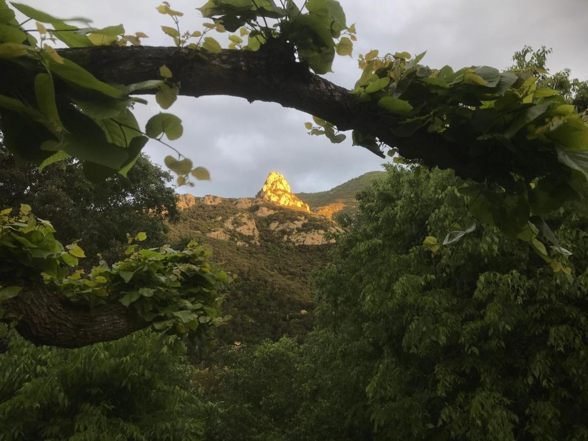 L'Abri La Vall Sorède 외부 사진