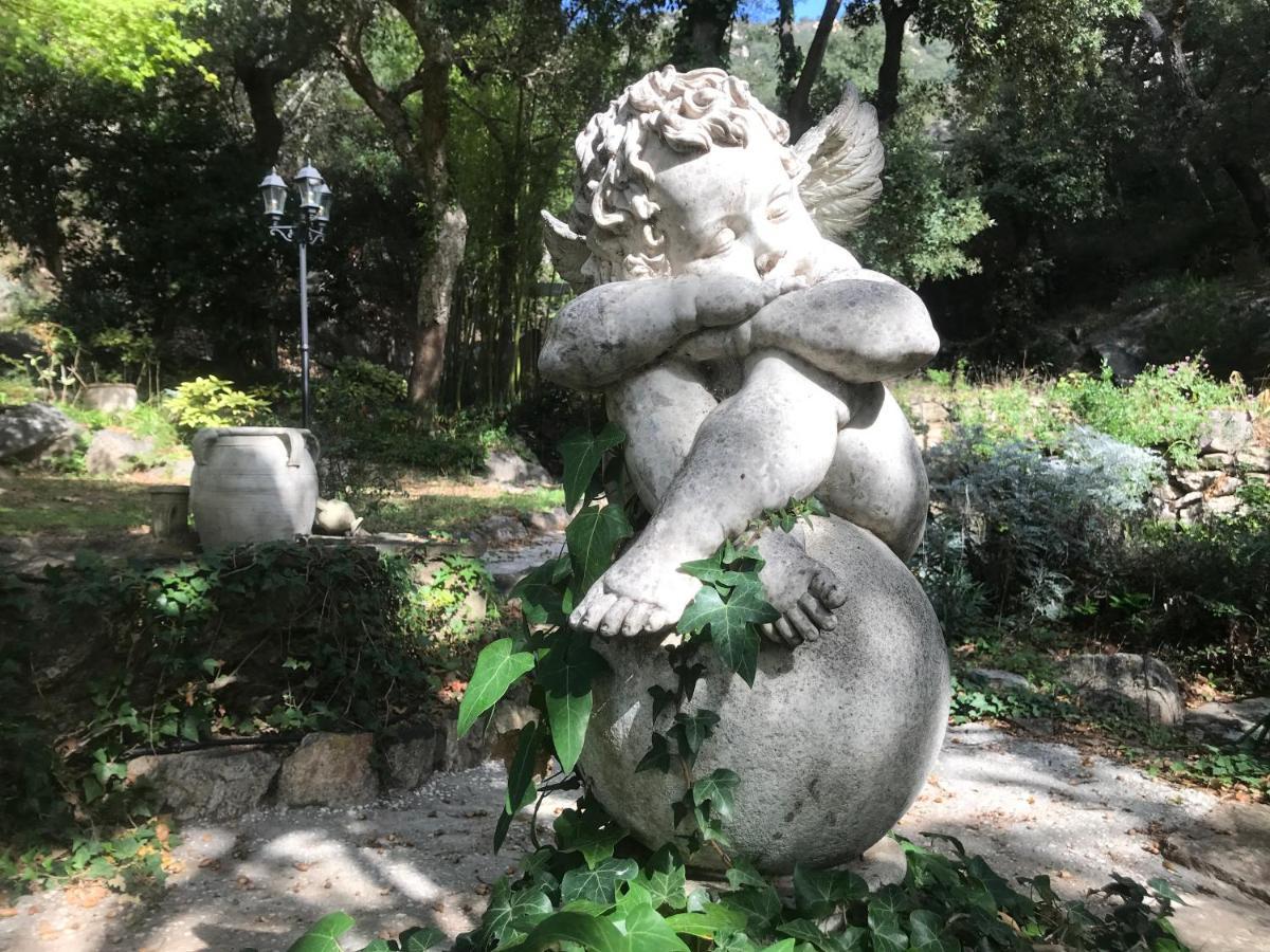 L'Abri La Vall Sorède 외부 사진